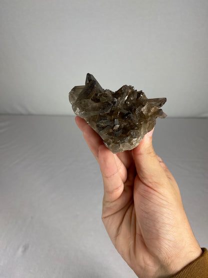 Brazilian Smokey Quartz Specimen (N)