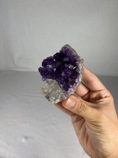 Brazilian Amethyst Specimen (N)