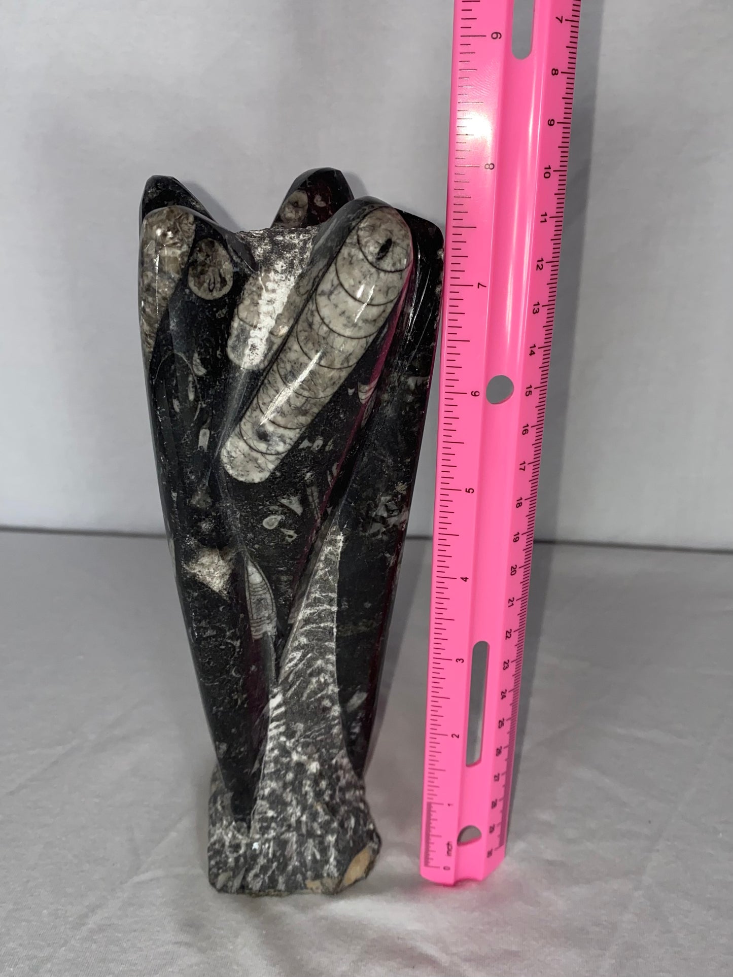 Self Standing Polished Fossilized Orthoceras Specimen (Medium I)