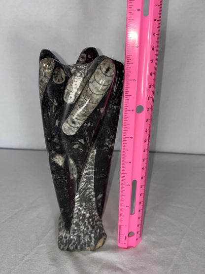 Self Standing Polished Fossilized Orthoceras Specimen (Medium I)