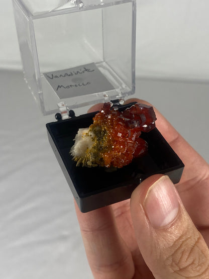 Moroccan Vanadinite Thumbnail Specimen (Small B)