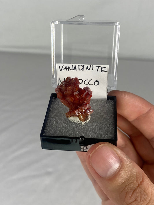 Moroccan Vanadinite Thumbnail Specimen (Pre-Done E)