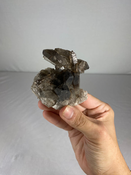 Brazilian Smokey Quartz Specimen (O)