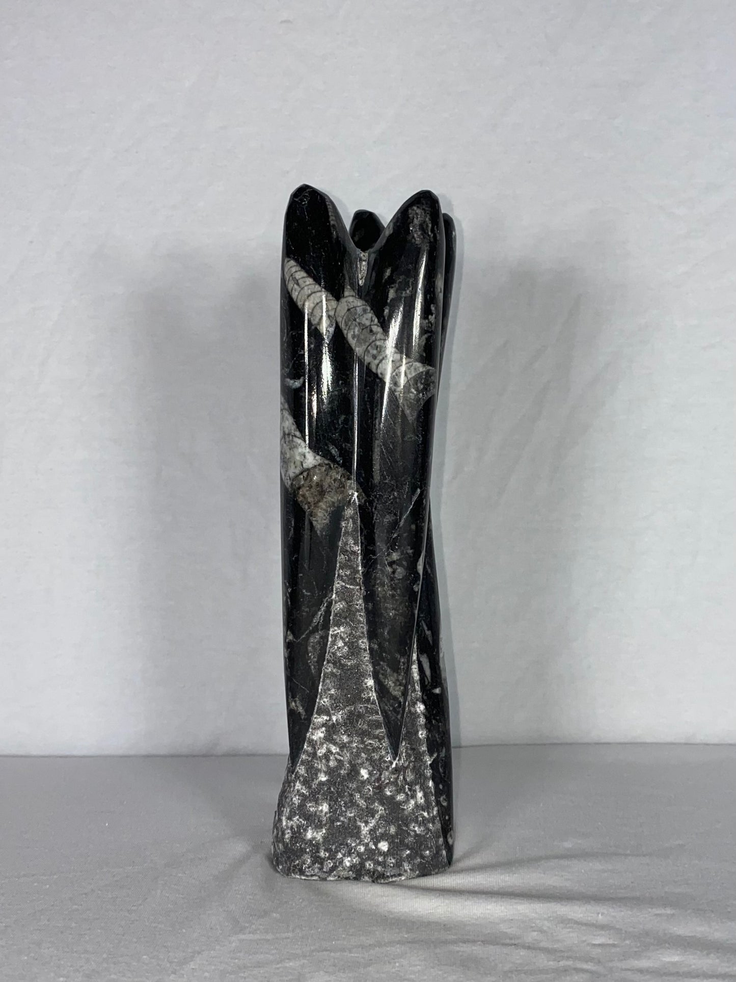 Self Standing Polished Fossilized Orthoceras Specimen (Medium M)