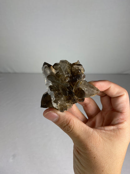 Brazilian Smokey Quartz Specimen (H)