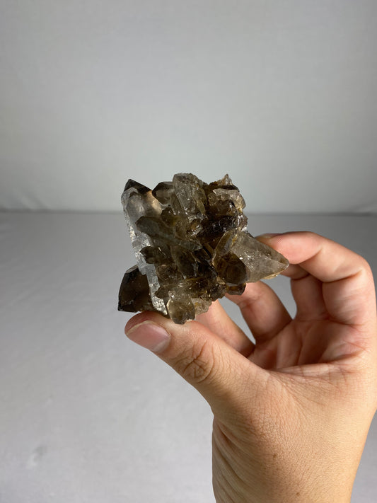 Brazilian Smokey Quartz Specimen (H)
