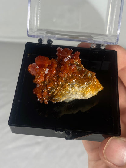 Moroccan Vanadinite Thumbnail Specimen (Medium A)