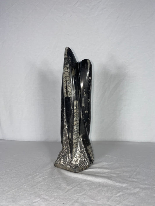 Self Standing Polished Fossilized Orthoceras Specimen (Medium C)