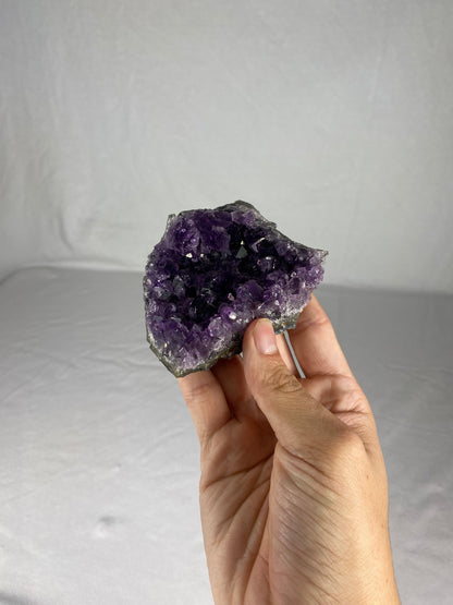 Brazilian Amethyst Specimen (Y)
