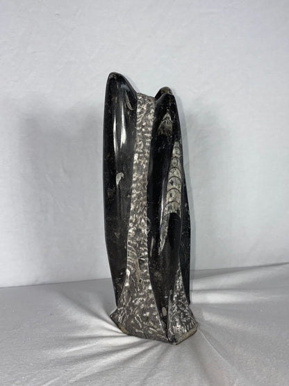 Self Standing Polished Fossilized Orthoceras Specimen (Medium J)