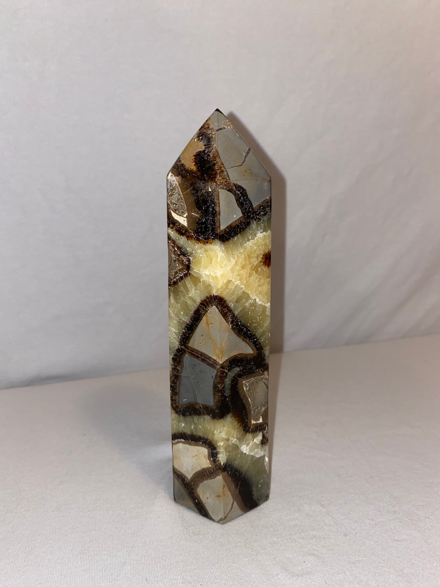 Madagascan Polished Septarian Tower (E)