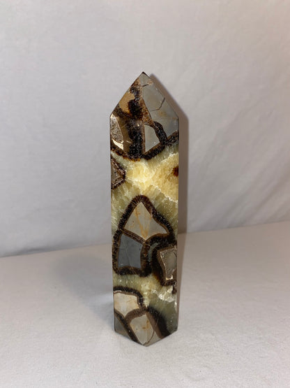 Madagascan Polished Septarian Tower (E)