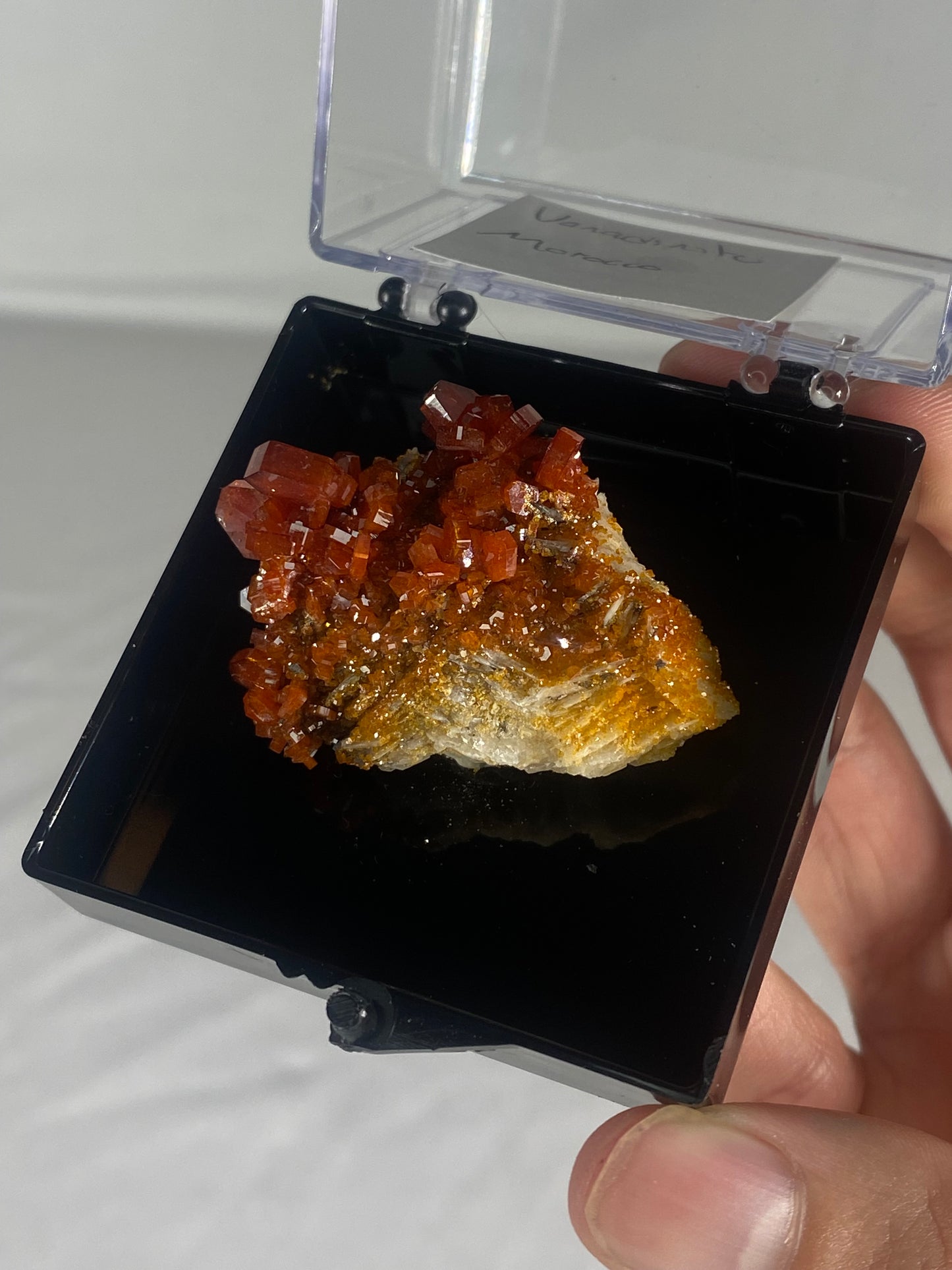 Moroccan Vanadinite Thumbnail Specimen (Medium A)