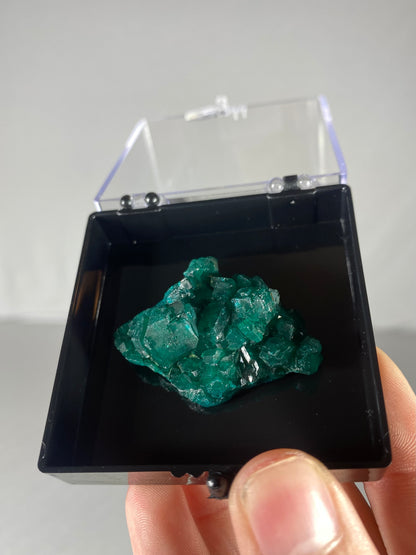 Dioptase Thumbnail Specimen (B)