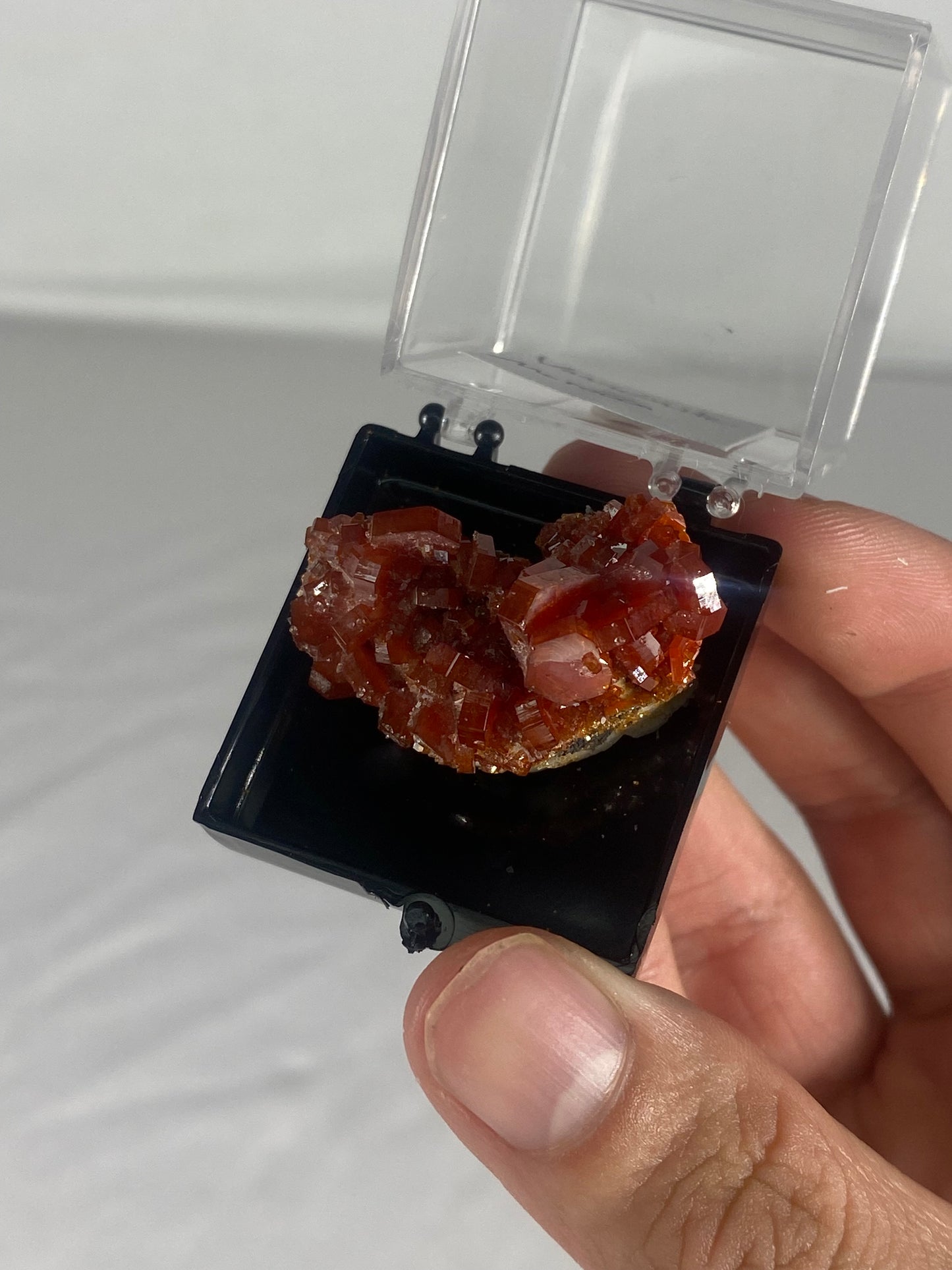 Moroccan Vanadinite Thumbnail Specimen (Small G)