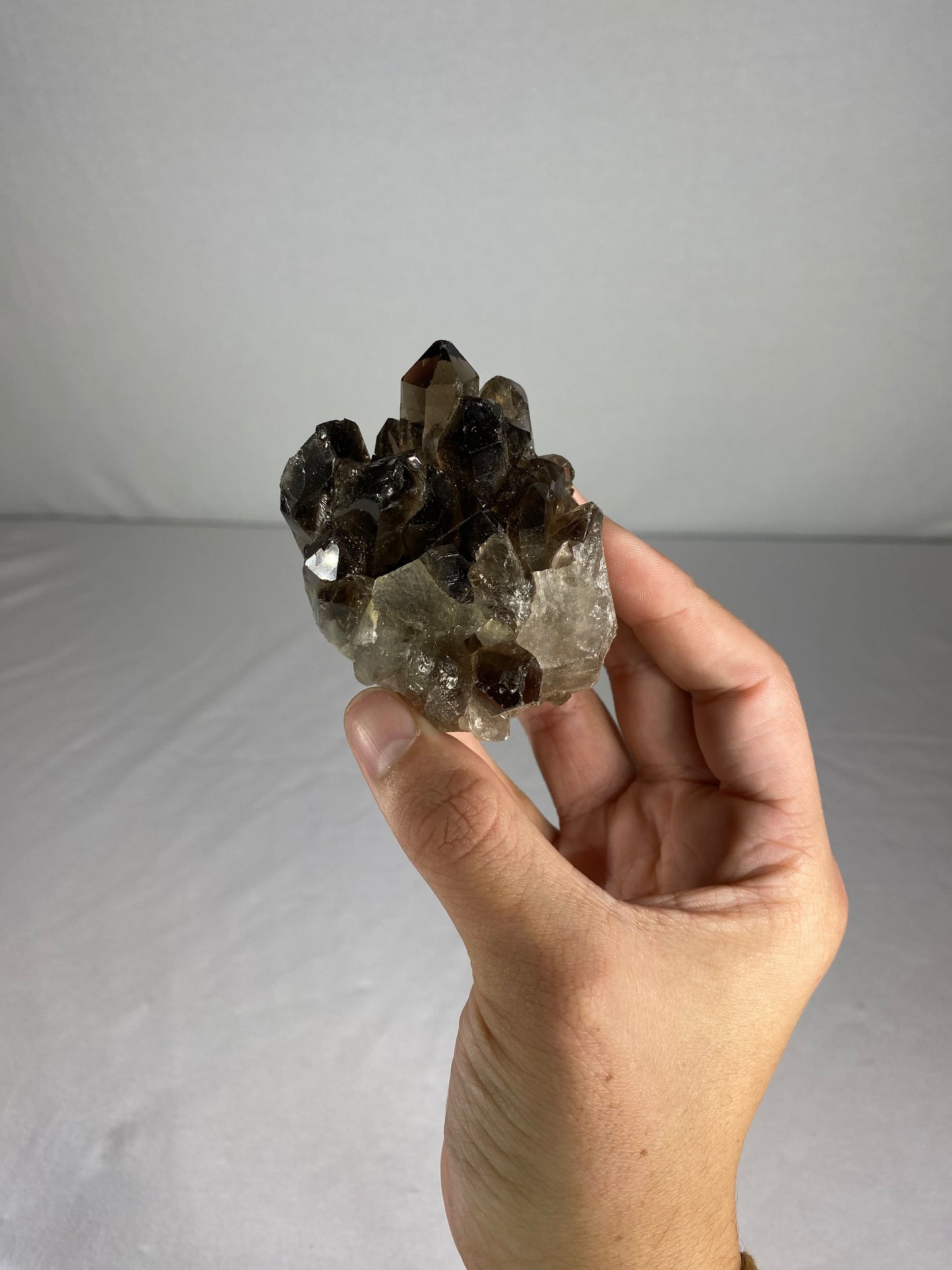Brazilian Smokey Quartz Specimen (R)
