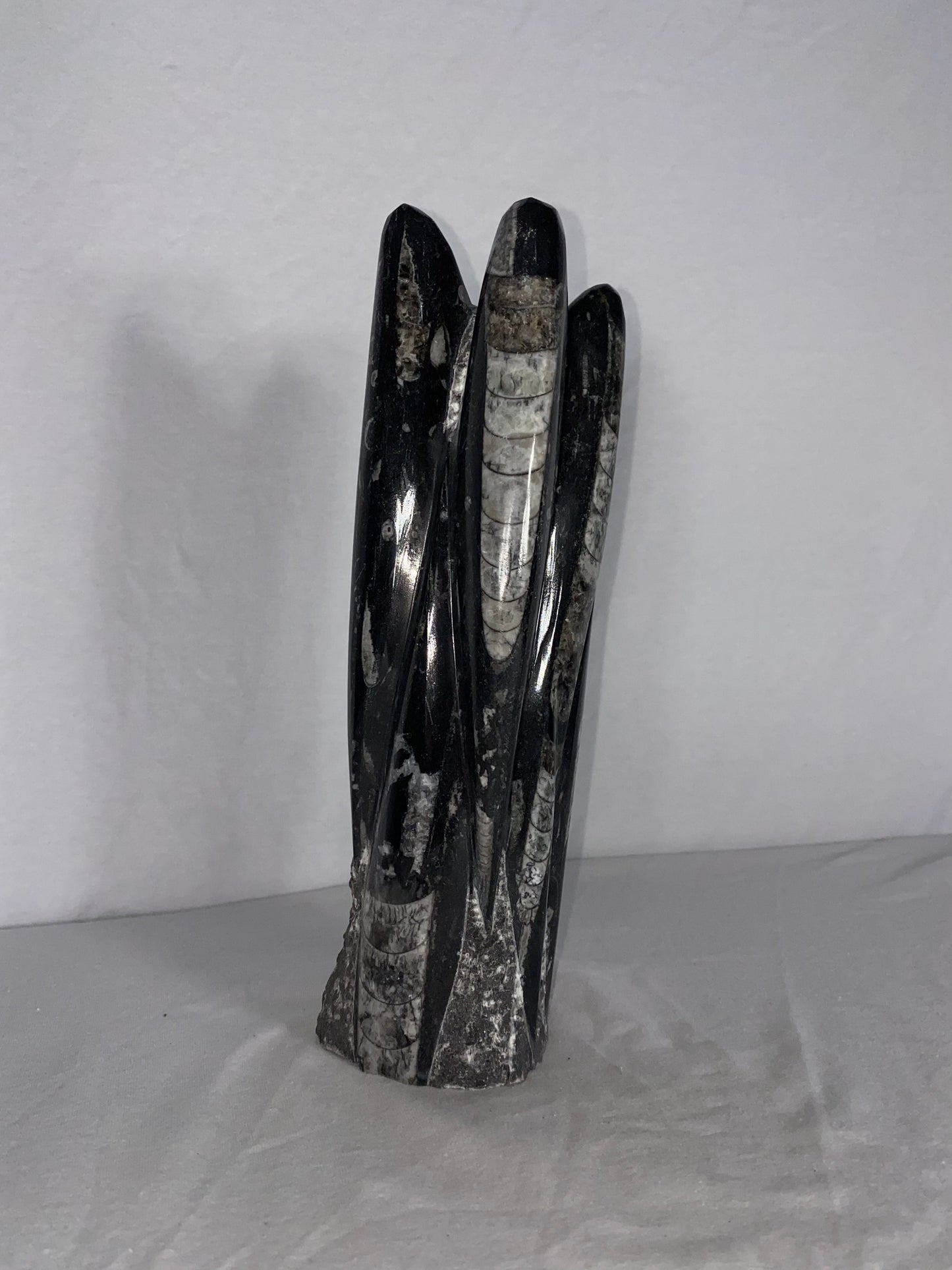 Self Standing Polished Fossilized Orthoceras Specimen (Medium K)