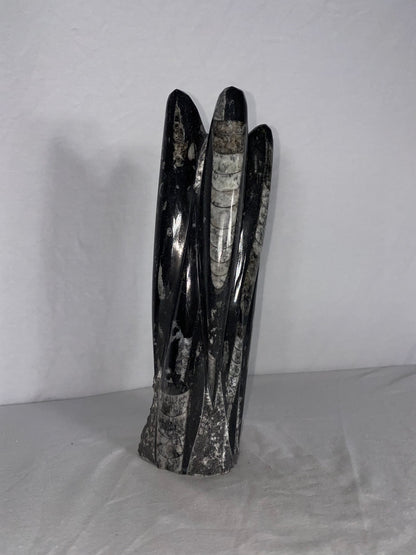 Self Standing Polished Fossilized Orthoceras Specimen (Medium K)