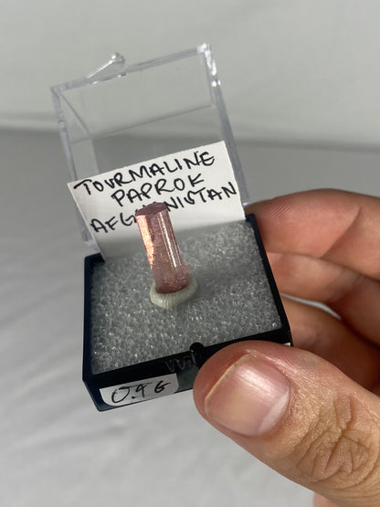 Pink Tourmaline Thumbnail Specimen From Afghanistan (Pre-Done B)
