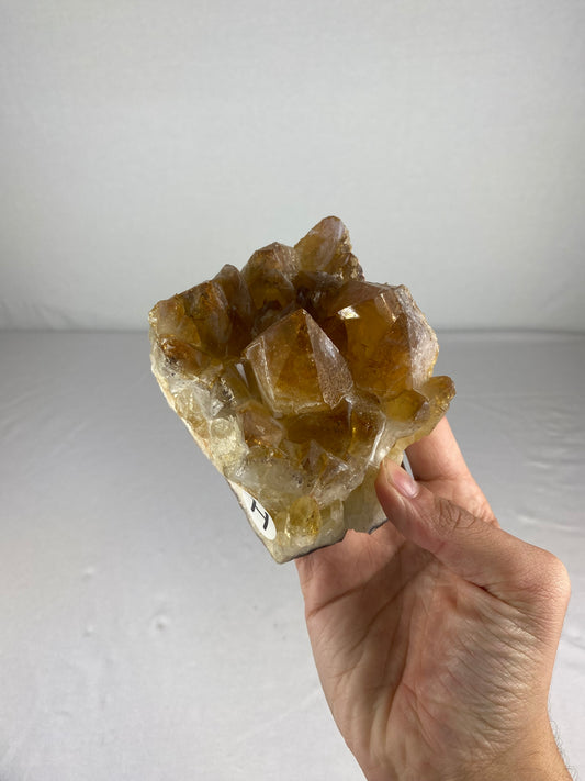 Brazilian Citrine Specimen (H)