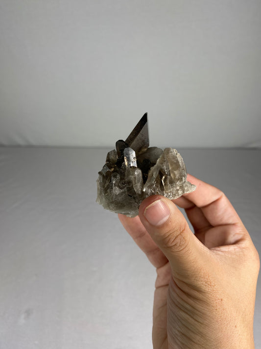 Brazilian Smokey Quartz Specimen (F)