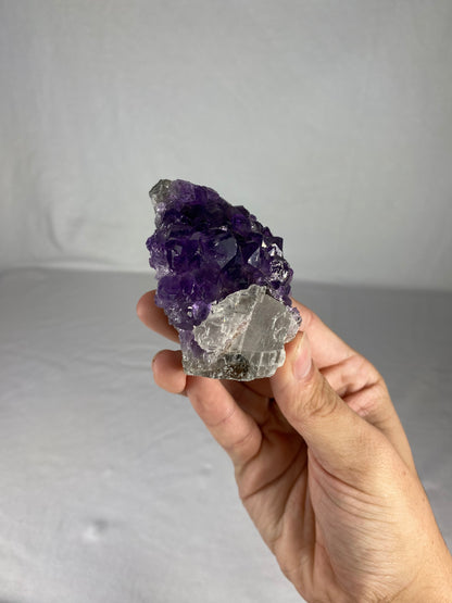 Brazilian Amethyst Specimen (N)