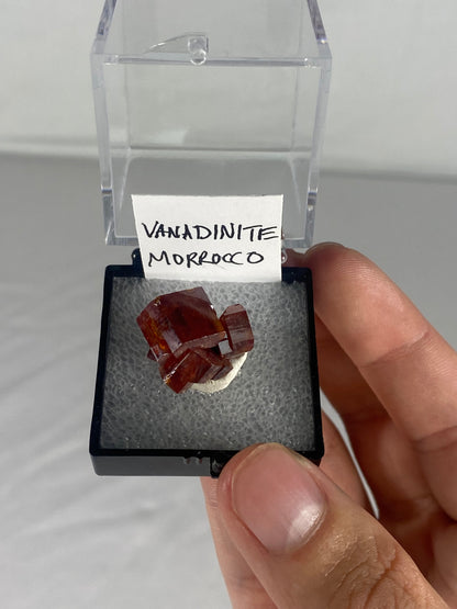 Moroccan Vanadinite Thumbnail Specimen (Pre-Done F)