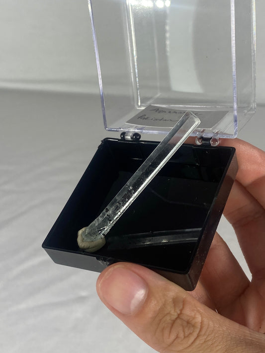 Pakistani Aquamarine Thumbnail Specimen (X)