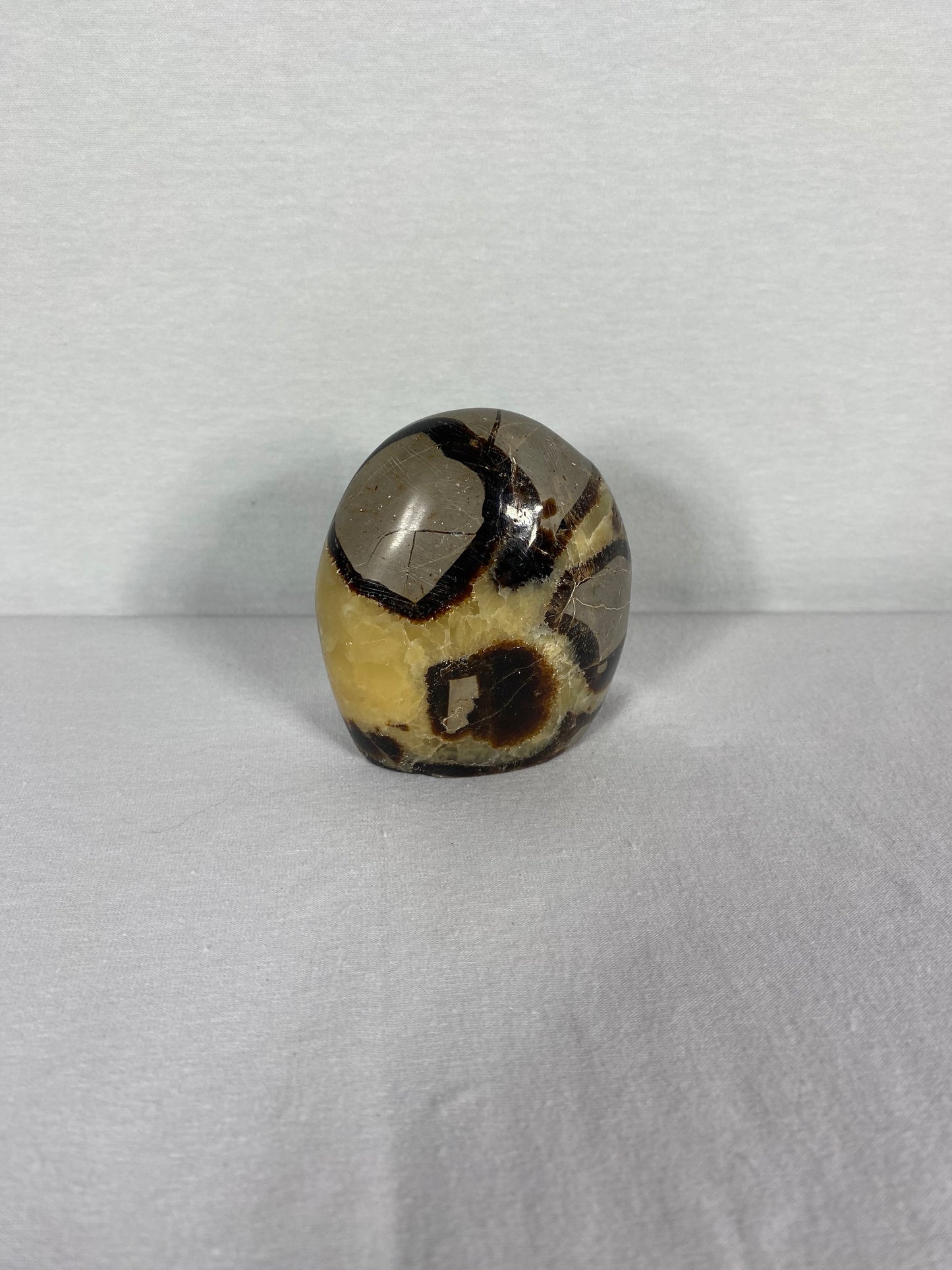 Madagascan Polished Septarian Mountain (P)