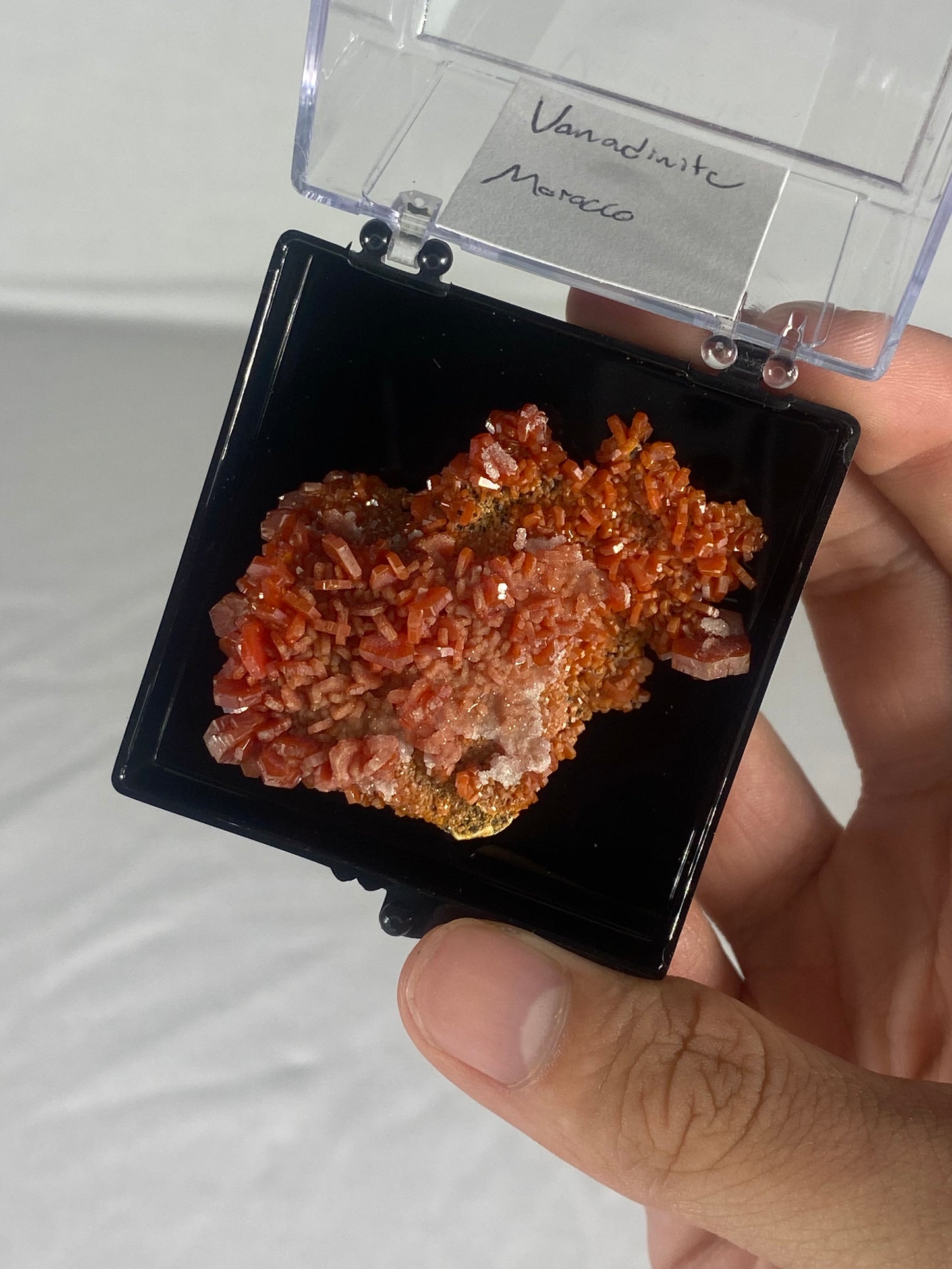 Moroccan Vanadinite Thumbnail Specimen (Medium F)