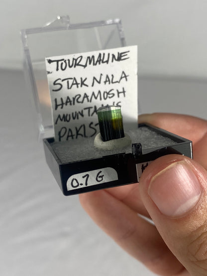 Pakistani Green Tourmaline Thumbnail Specimen (Pre-Done I)