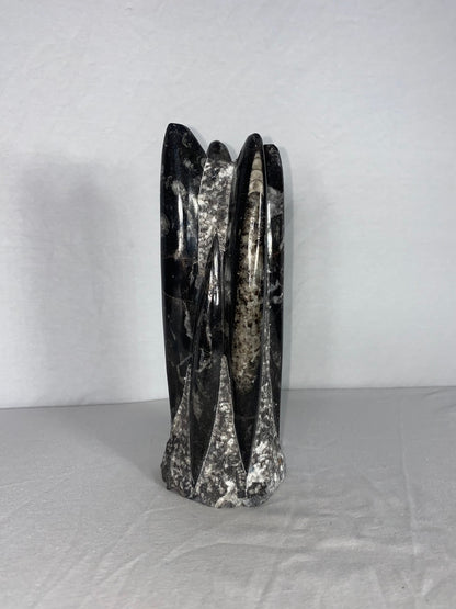 Self Standing Polished Fossilized Orthoceras Specimen (Medium D)