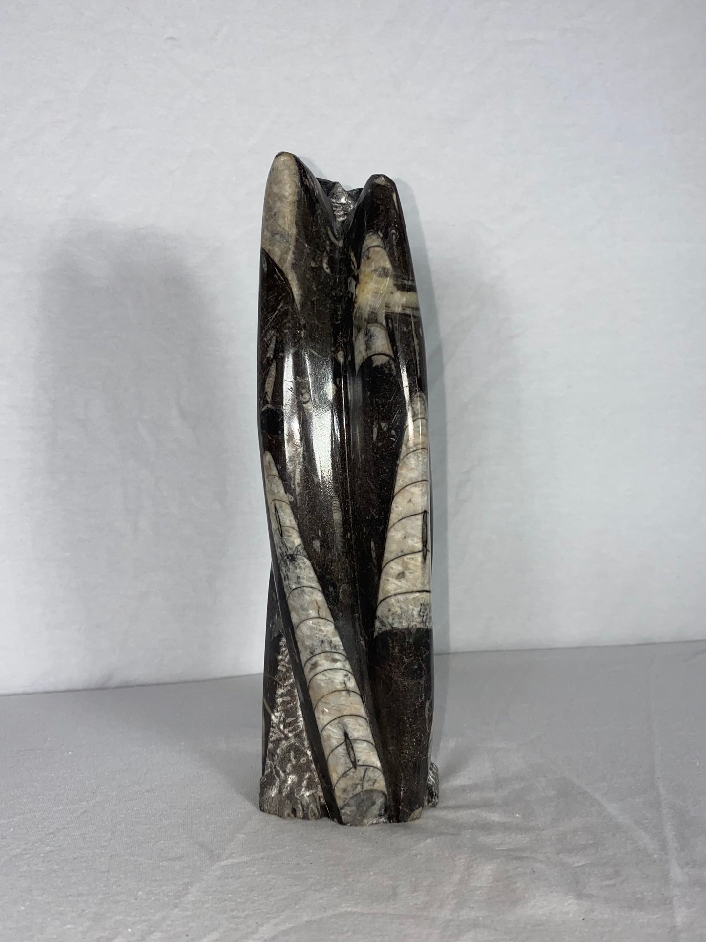 Self Standing Polished Fossilized Orthoceras Specimen (Medium H)