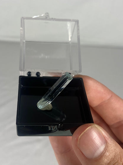 Pakistani Aquamarine Thumbnail Specimen (T)