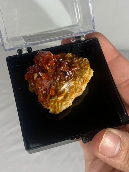 Moroccan Vanadinite Thumbnail Specimen (Medium B)