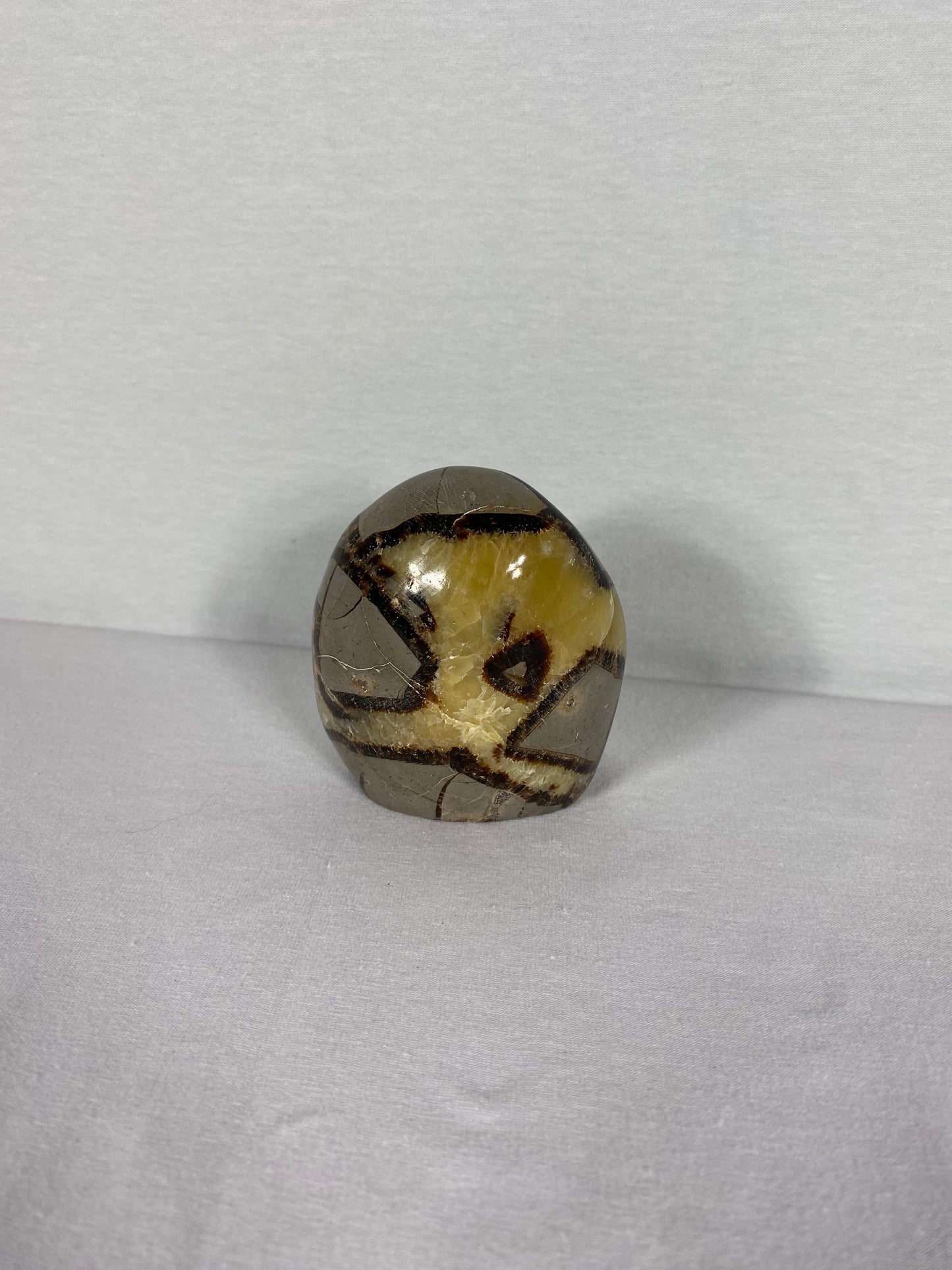 Madagascan Polished Septarian Mountain (P)