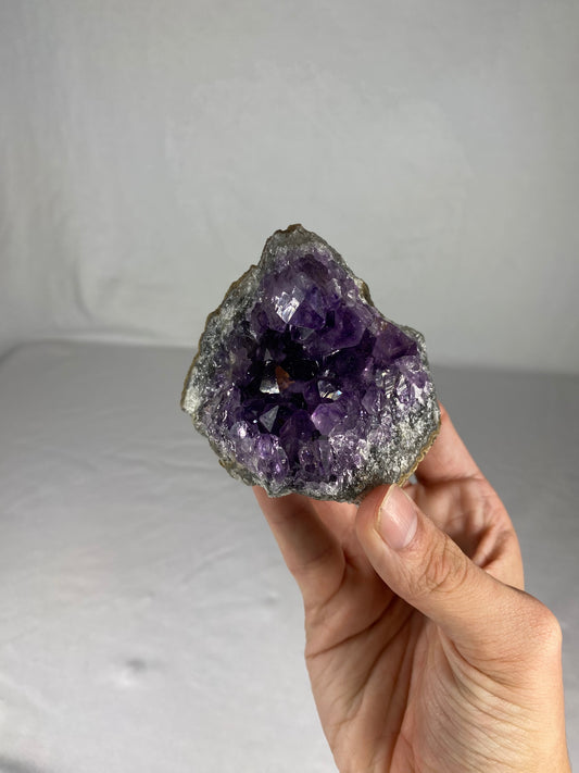 Brazilian Amethyst Specimen (T)