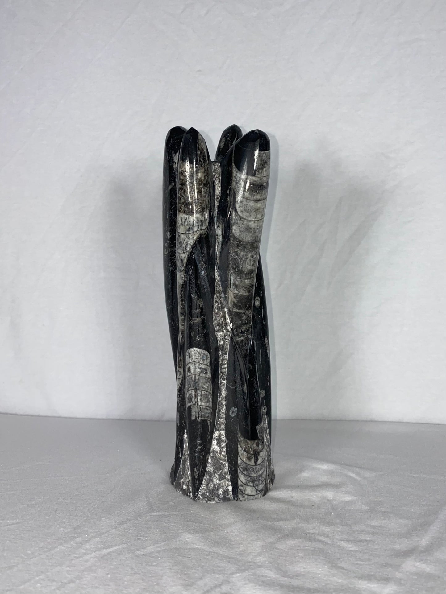 Self Standing Polished Fossilized Orthoceras Specimen (Medium K)