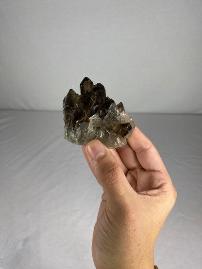 Brazilian Smokey Quartz Specimen (R)