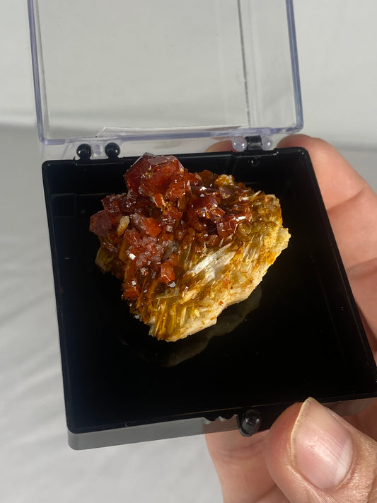 Moroccan Vanadinite Thumbnail Specimen (Medium B)