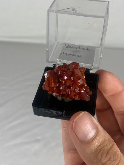 Moroccan Vanadinite Thumbnail Specimen (Small J)