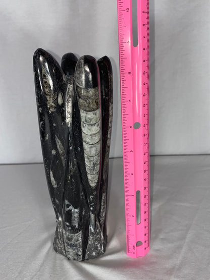 Self Standing Polished Fossilized Orthoceras Specimen (Medium K)
