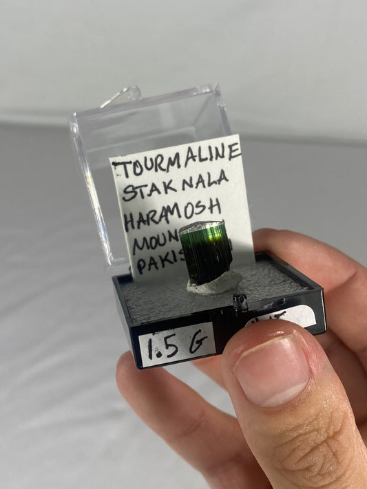 Pakistani Green Tourmaline Thumbnail Specimen (Pre-Done G)