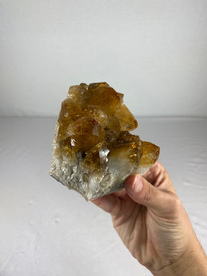Brazilian Citrine Specimen (F)