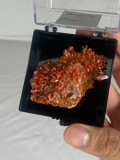 Moroccan Vanadinite Thumbnail Specimen (Medium F)