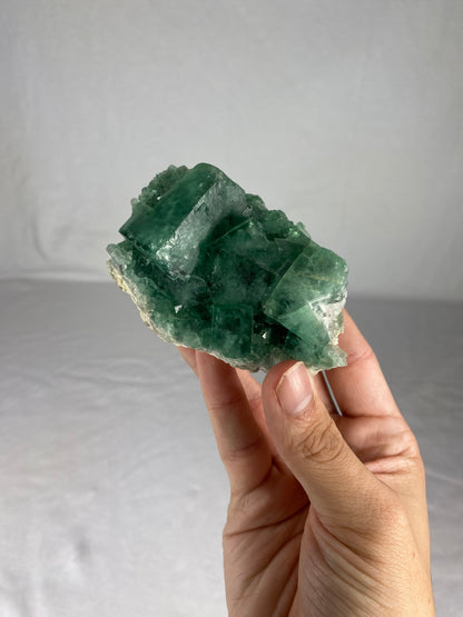 Madagascan Cubic Green Fluorite Specimen (P)