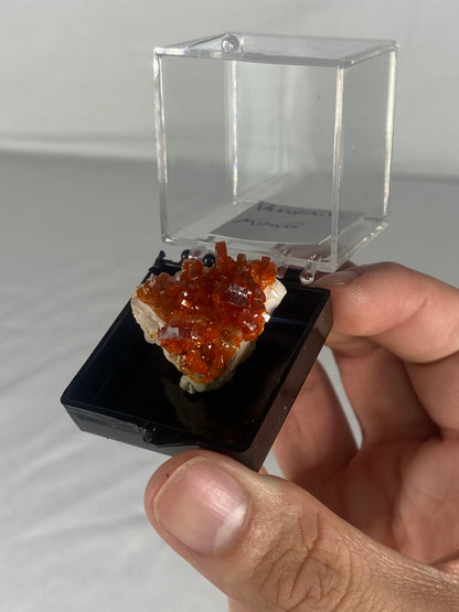 Moroccan Vanadinite Thumbnail Specimen (Small H)