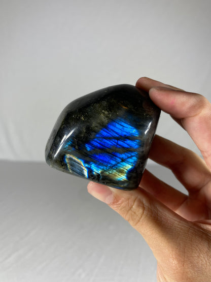 Madagascan Polished Labradorite Freeform Mountain (Small U)