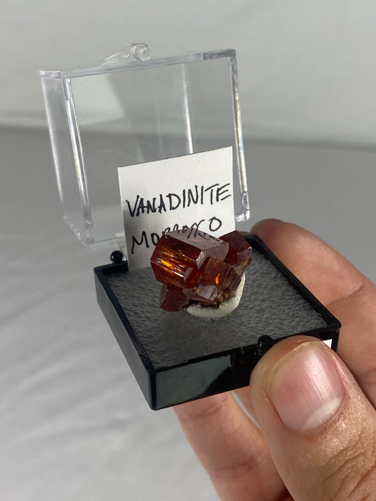 Moroccan Vanadinite Thumbnail Specimen (Pre-Done F)