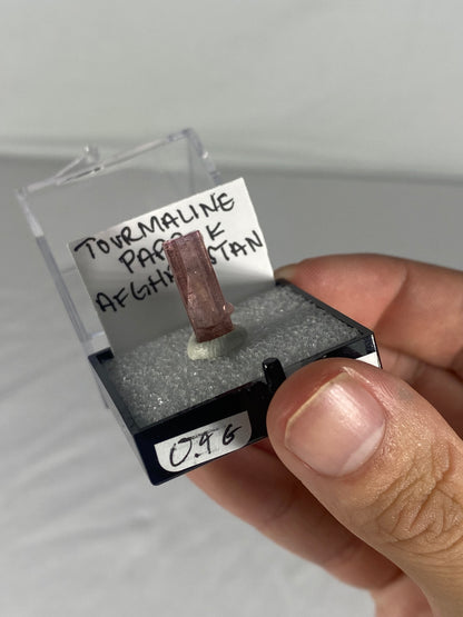 Pink Tourmaline Thumbnail Specimen From Afghanistan (Pre-Done B)